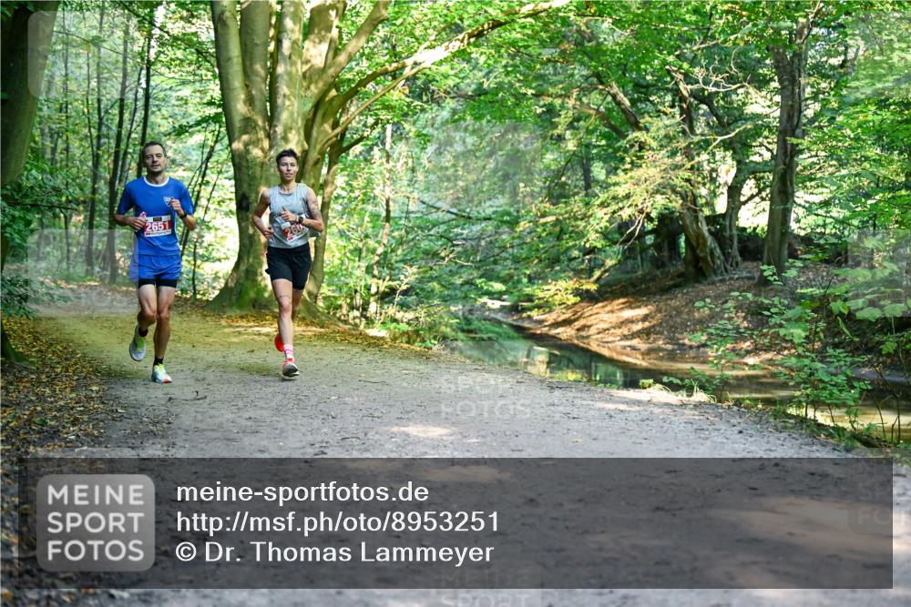 28.09.2025 - 33. Volkslauf durch das schöne Alstertal Dr. Thomas Lammeyer http://msf.ph/oto/8953251 28.09.2025 10:34:28 Laufen 2651 meine-sportfotos.de