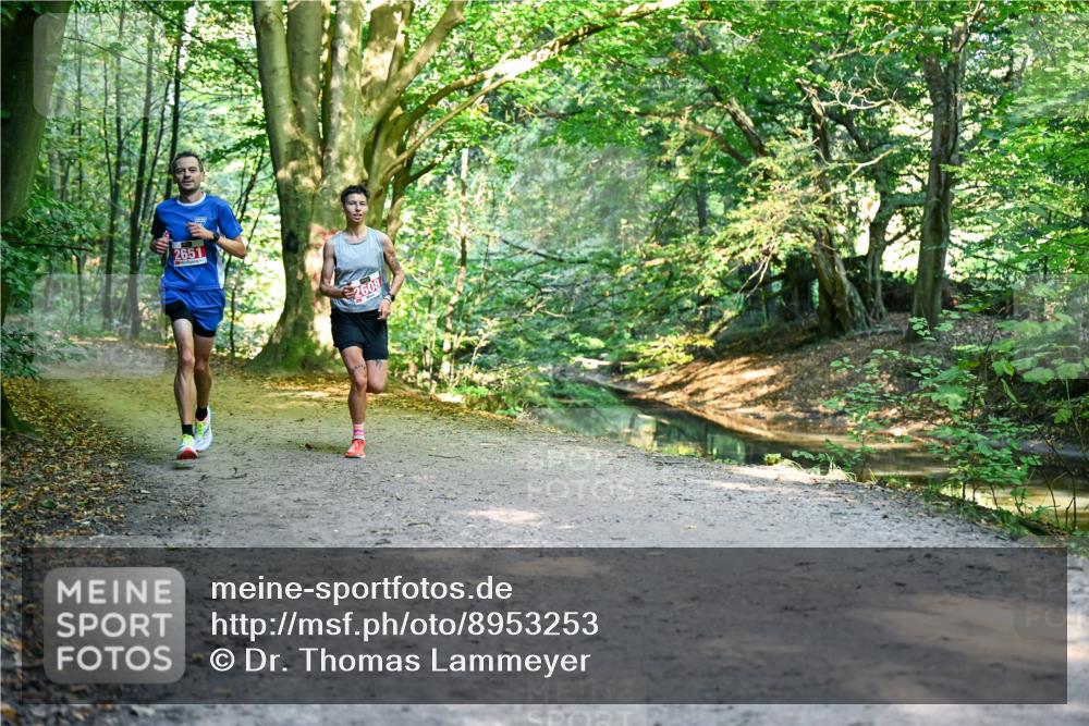 28.09.2025 - 33. Volkslauf durch das schöne Alstertal Dr. Thomas Lammeyer http://msf.ph/oto/8953253 28.09.2025 10:34:29 Laufen 2651, 2608 meine-sportfotos.de