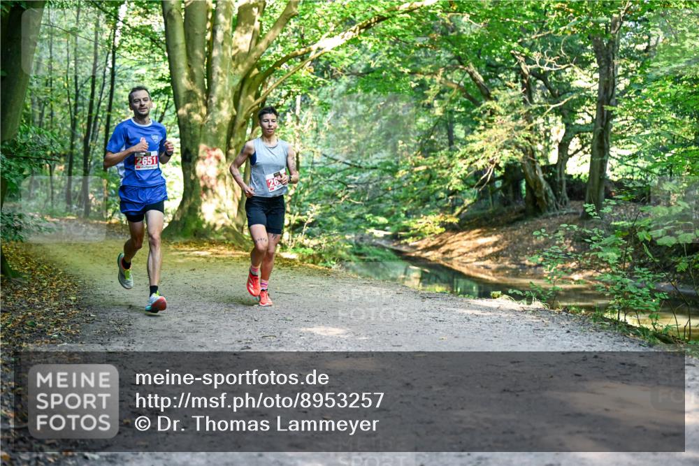 28.09.2025 - 33. Volkslauf durch das schöne Alstertal Dr. Thomas Lammeyer http://msf.ph/oto/8953257 28.09.2025 10:34:29 Laufen 2651 meine-sportfotos.de