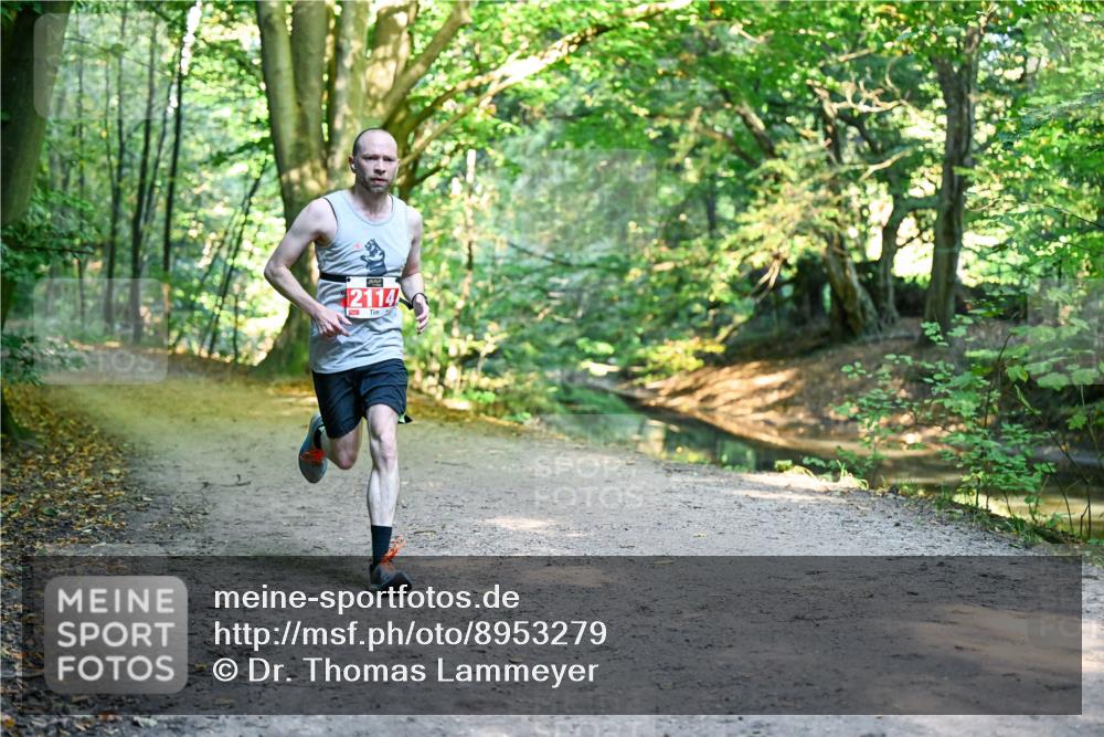 28.09.2025 - 33. Volkslauf durch das schöne Alstertal Dr. Thomas Lammeyer http://msf.ph/oto/8953279 28.09.2025 10:34:41 Laufen 2114 meine-sportfotos.de