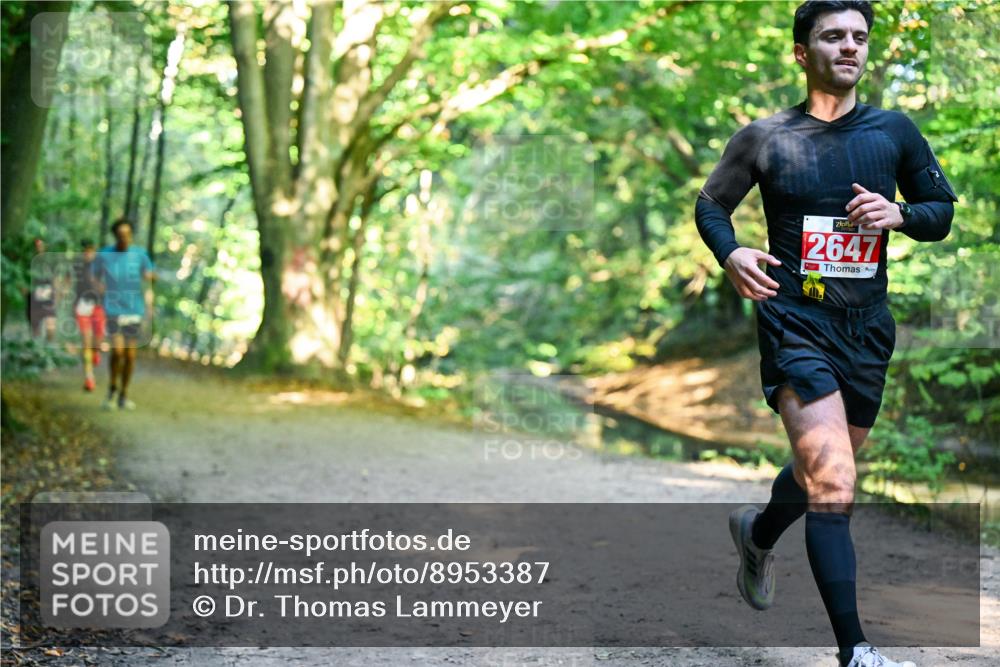 28.09.2025 - 33. Volkslauf durch das schöne Alstertal Dr. Thomas Lammeyer http://msf.ph/oto/8953387 28.09.2025 10:35:05 Laufen 2647 meine-sportfotos.de