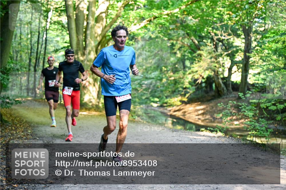 28.09.2025 - 33. Volkslauf durch das schöne Alstertal Dr. Thomas Lammeyer http://msf.ph/oto/8953408 28.09.2025 10:35:08 Laufen 2591 meine-sportfotos.de