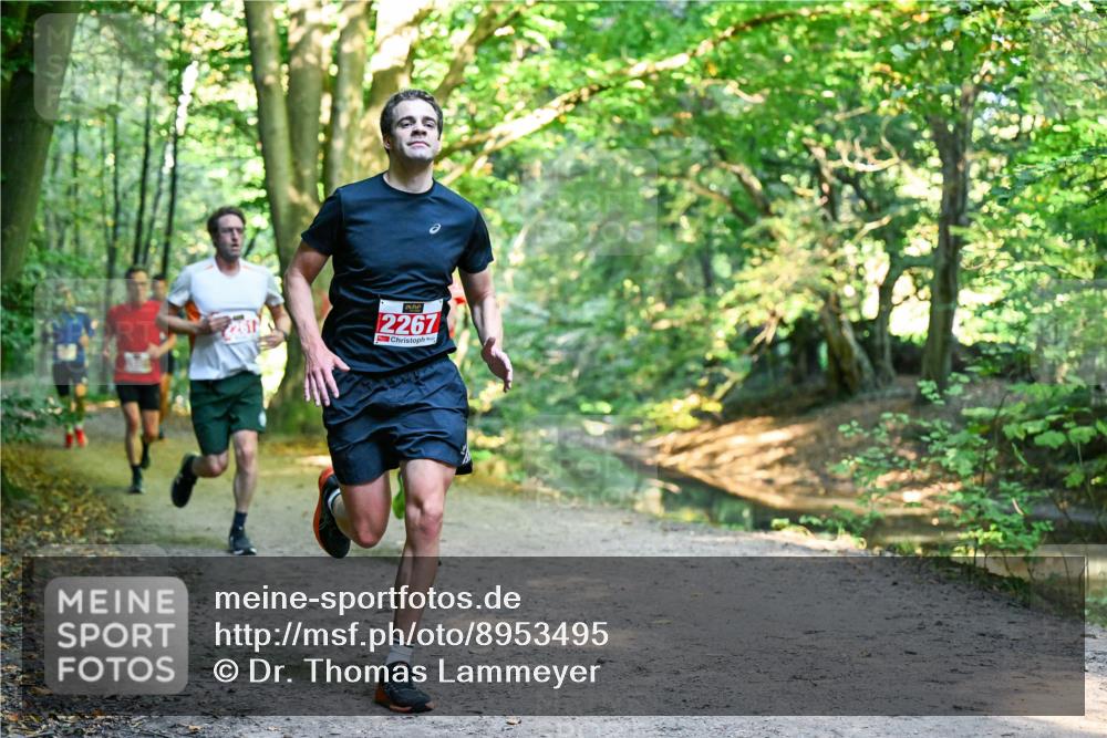 28.09.2025 - 33. Volkslauf durch das schöne Alstertal Dr. Thomas Lammeyer http://msf.ph/oto/8953495 28.09.2025 10:35:46 Laufen 2267 meine-sportfotos.de