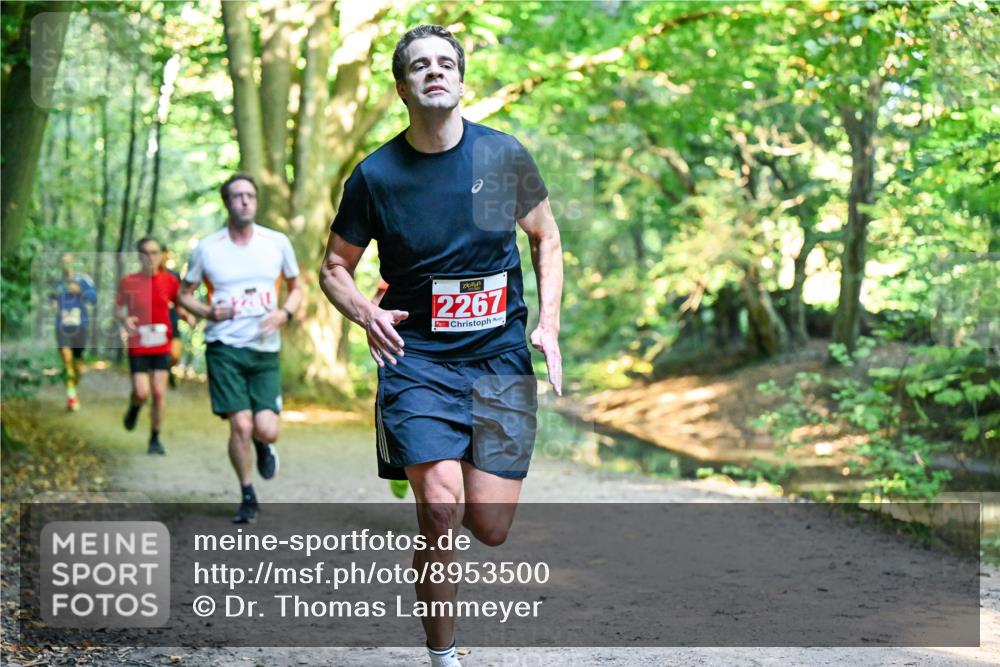 28.09.2025 - 33. Volkslauf durch das schöne Alstertal Dr. Thomas Lammeyer http://msf.ph/oto/8953500 28.09.2025 10:35:46 Laufen 2267 meine-sportfotos.de