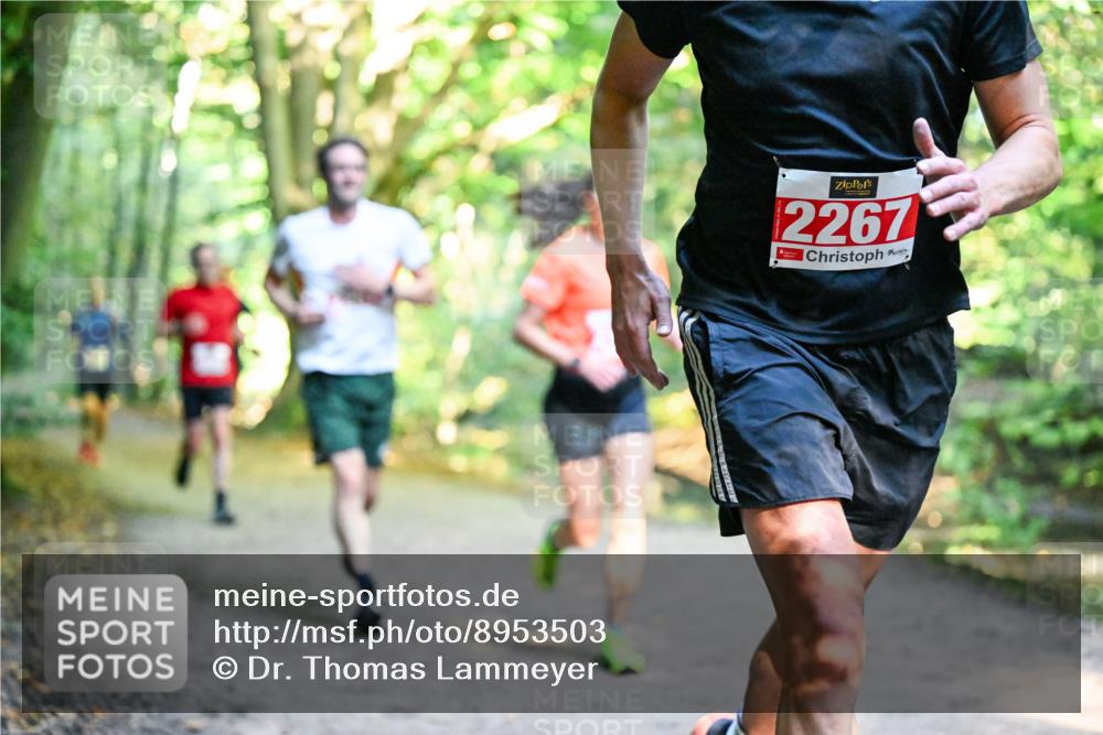28.09.2025 - 33. Volkslauf durch das schöne Alstertal Dr. Thomas Lammeyer http://msf.ph/oto/8953503 28.09.2025 10:35:47 Laufen 2267 meine-sportfotos.de