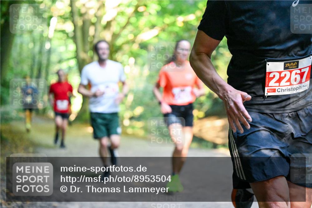 28.09.2025 - 33. Volkslauf durch das schöne Alstertal Dr. Thomas Lammeyer http://msf.ph/oto/8953504 28.09.2025 10:35:47 Laufen 2267 meine-sportfotos.de