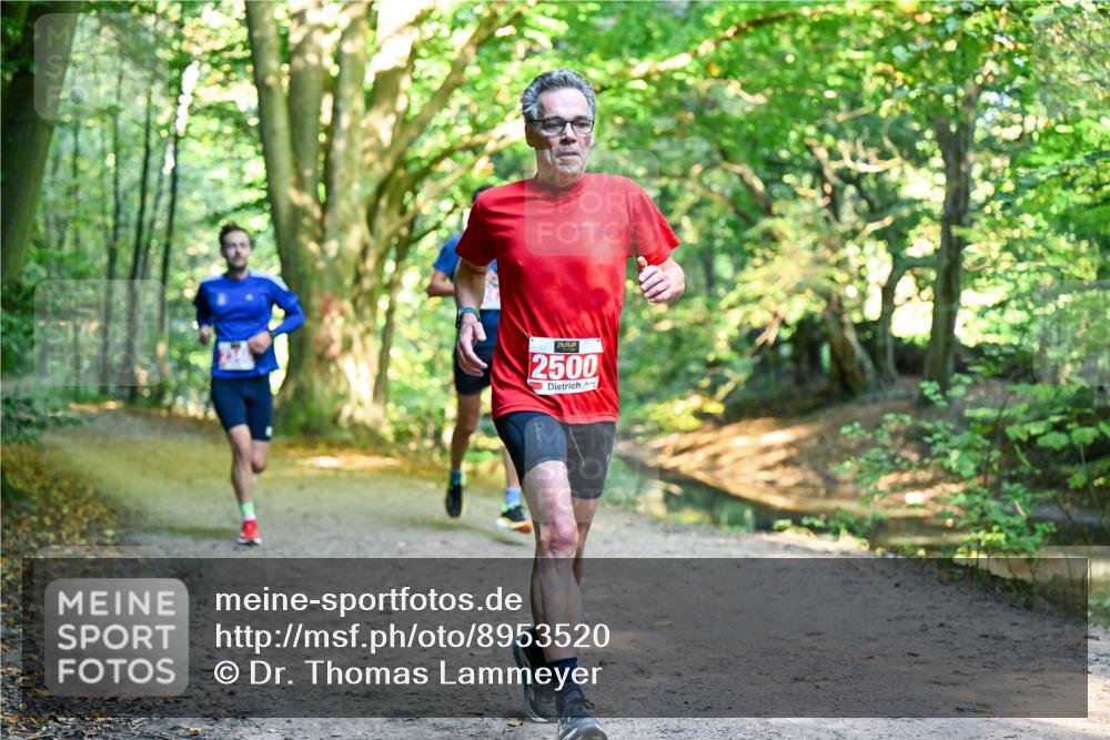 28.09.2025 - 33. Volkslauf durch das schöne Alstertal Dr. Thomas Lammeyer http://msf.ph/oto/8953520 28.09.2025 10:35:49 Laufen 2500 meine-sportfotos.de