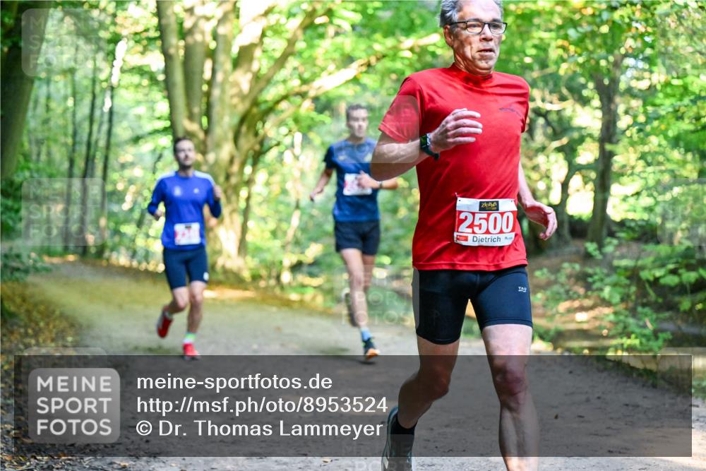 28.09.2025 - 33. Volkslauf durch das schöne Alstertal Dr. Thomas Lammeyer http://msf.ph/oto/8953524 28.09.2025 10:35:50 Laufen 2500 meine-sportfotos.de