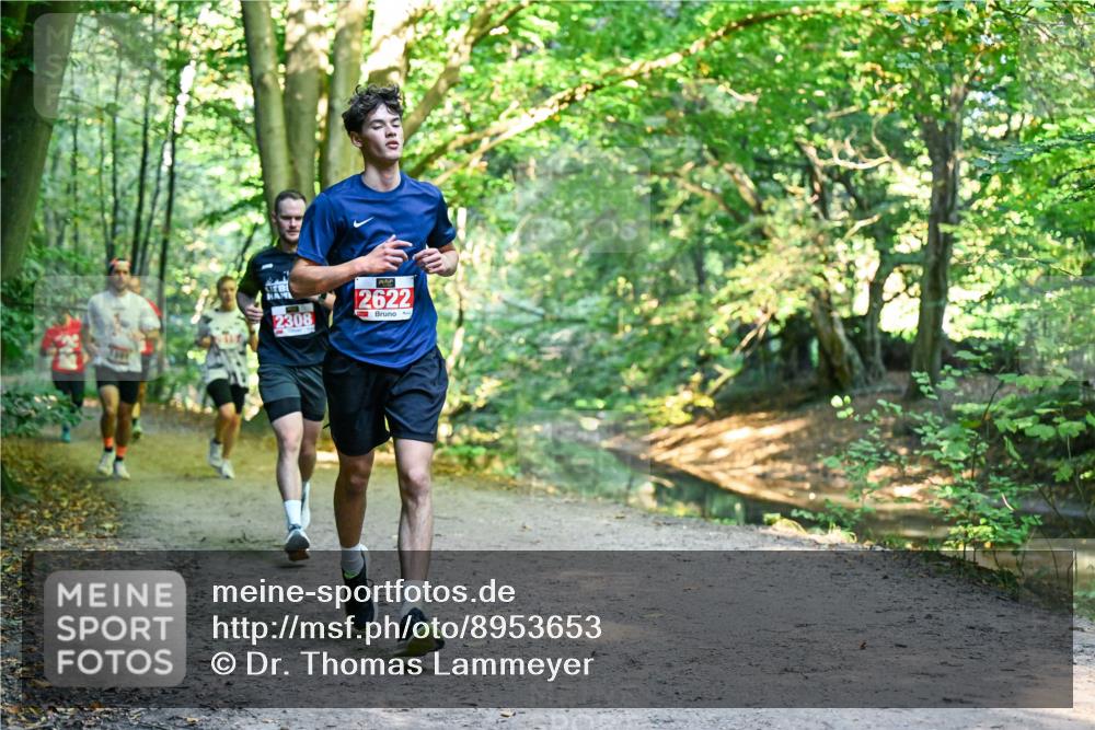 28.09.2025 - 33. Volkslauf durch das schöne Alstertal Dr. Thomas Lammeyer http://msf.ph/oto/8953653 28.09.2025 10:36:23 Laufen 930, 2308, 2622 meine-sportfotos.de