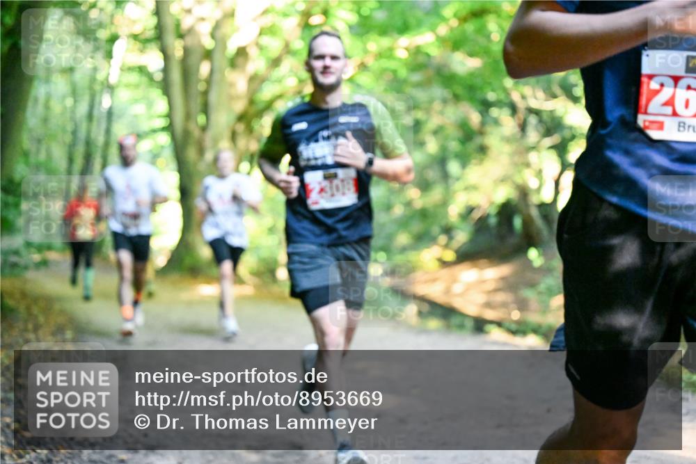 28.09.2025 - 33. Volkslauf durch das schöne Alstertal Dr. Thomas Lammeyer http://msf.ph/oto/8953669 28.09.2025 10:36:24 Laufen 308, 126 meine-sportfotos.de