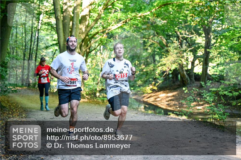 28.09.2025 - 33. Volkslauf durch das schöne Alstertal Dr. Thomas Lammeyer http://msf.ph/oto/8953677 28.09.2025 10:36:26 Laufen 591, 2515 meine-sportfotos.de