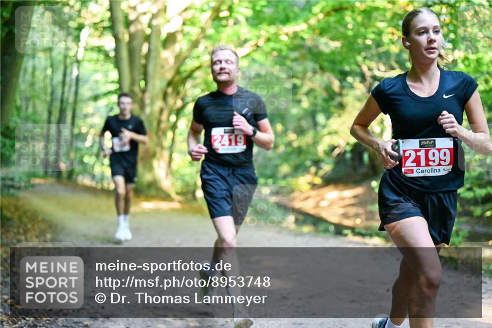 28.09.2025 - 33. Volkslauf durch das schöne Alstertal Dr. Thomas Lammeyer http://msf.ph/oto/8953748 28.09.2025 10:36:40 Laufen 2419, 2199 meine-sportfotos.de