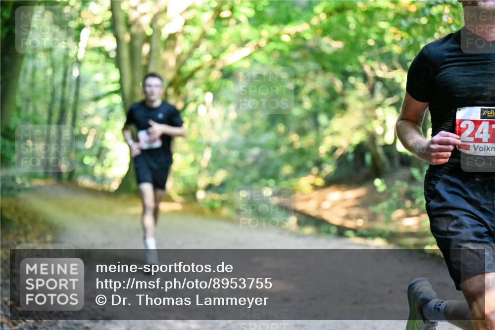 28.09.2025 - 33. Volkslauf durch das schöne Alstertal Dr. Thomas Lammeyer http://msf.ph/oto/8953755 28.09.2025 10:36:40 Laufen 24 meine-sportfotos.de