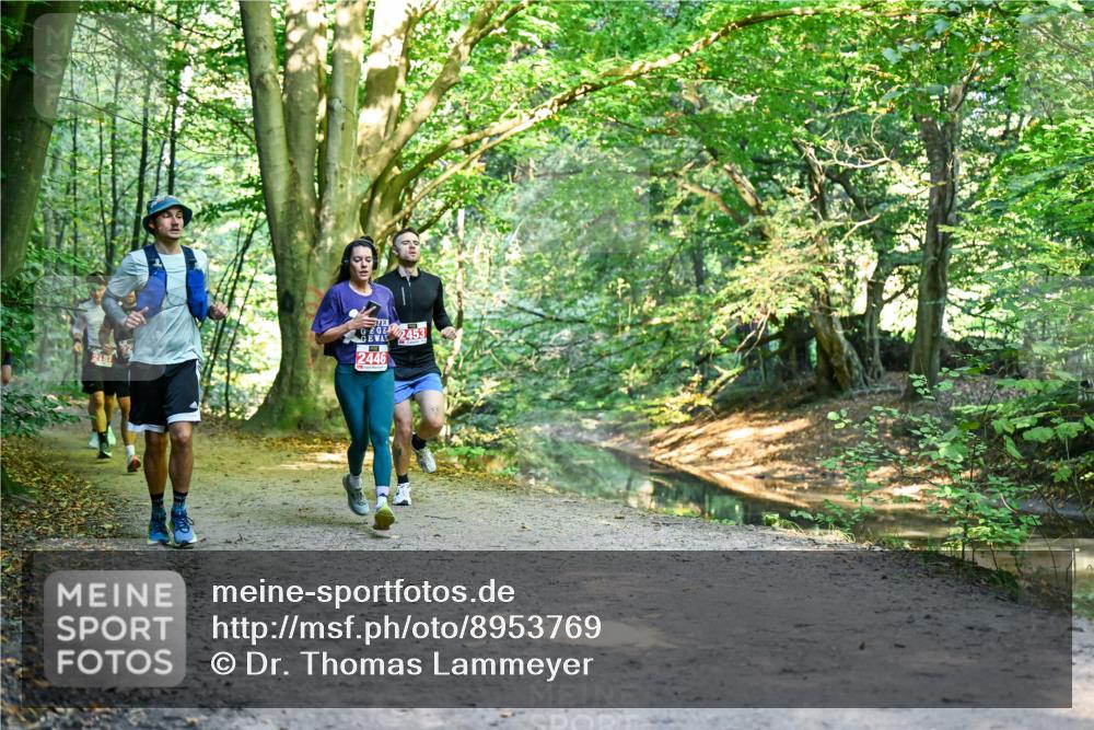 28.09.2025 - 33. Volkslauf durch das schöne Alstertal Dr. Thomas Lammeyer http://msf.ph/oto/8953769 28.09.2025 10:36:53 Laufen 2181, 2453, 2446 meine-sportfotos.de