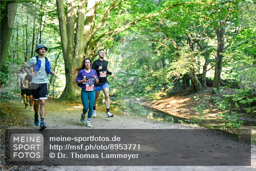 28.09.2025 - 33. Volkslauf durch das schöne Alstertal Dr. Thomas Lammeyer http://msf.ph/oto/8953771 28.09.2025 10:36:53 Laufen 2446, 2453 meine-sportfotos.de
