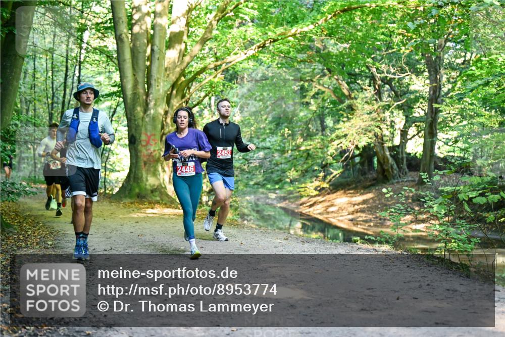 28.09.2025 - 33. Volkslauf durch das schöne Alstertal Dr. Thomas Lammeyer http://msf.ph/oto/8953774 28.09.2025 10:36:54 Laufen 2453, 2446 meine-sportfotos.de