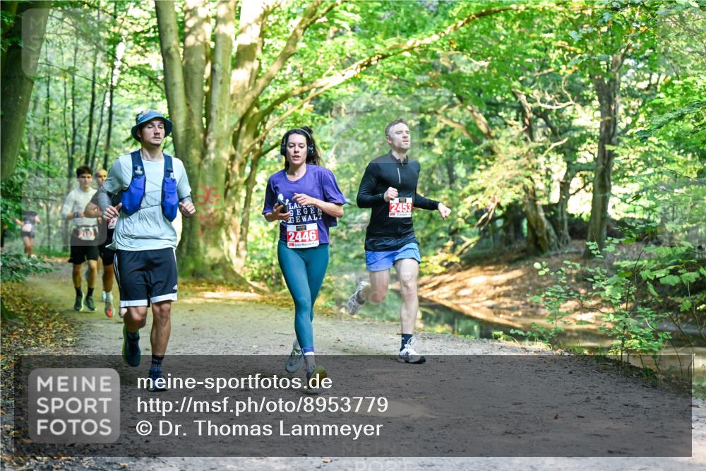 28.09.2025 - 33. Volkslauf durch das schöne Alstertal Dr. Thomas Lammeyer http://msf.ph/oto/8953779 28.09.2025 10:36:54 Laufen 2446, 2453 meine-sportfotos.de