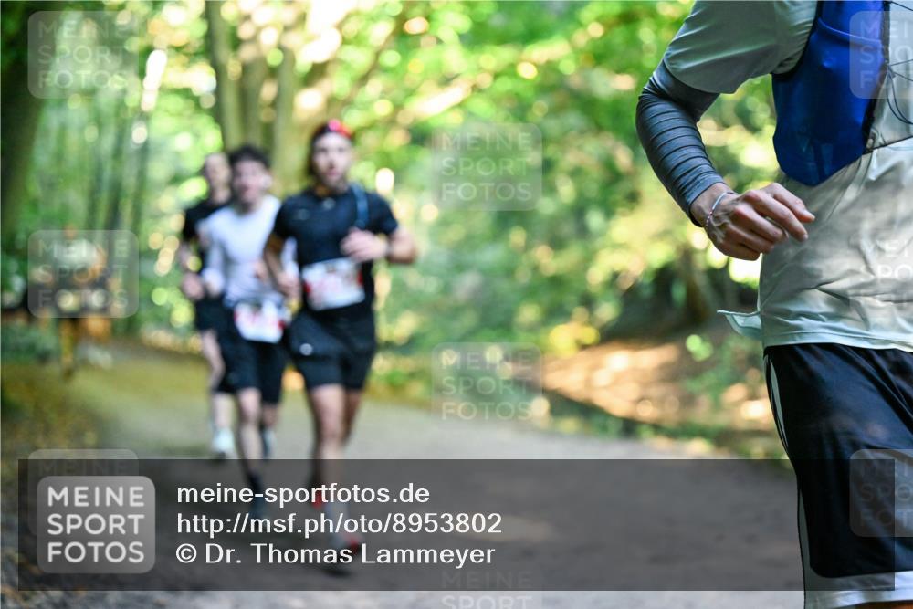 28.09.2025 - 33. Volkslauf durch das schöne Alstertal Dr. Thomas Lammeyer http://msf.ph/oto/8953802 28.09.2025 10:36:57 Laufen  meine-sportfotos.de