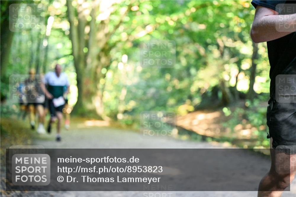 28.09.2025 - 33. Volkslauf durch das schöne Alstertal Dr. Thomas Lammeyer http://msf.ph/oto/8953823 28.09.2025 10:37:00 Laufen  meine-sportfotos.de