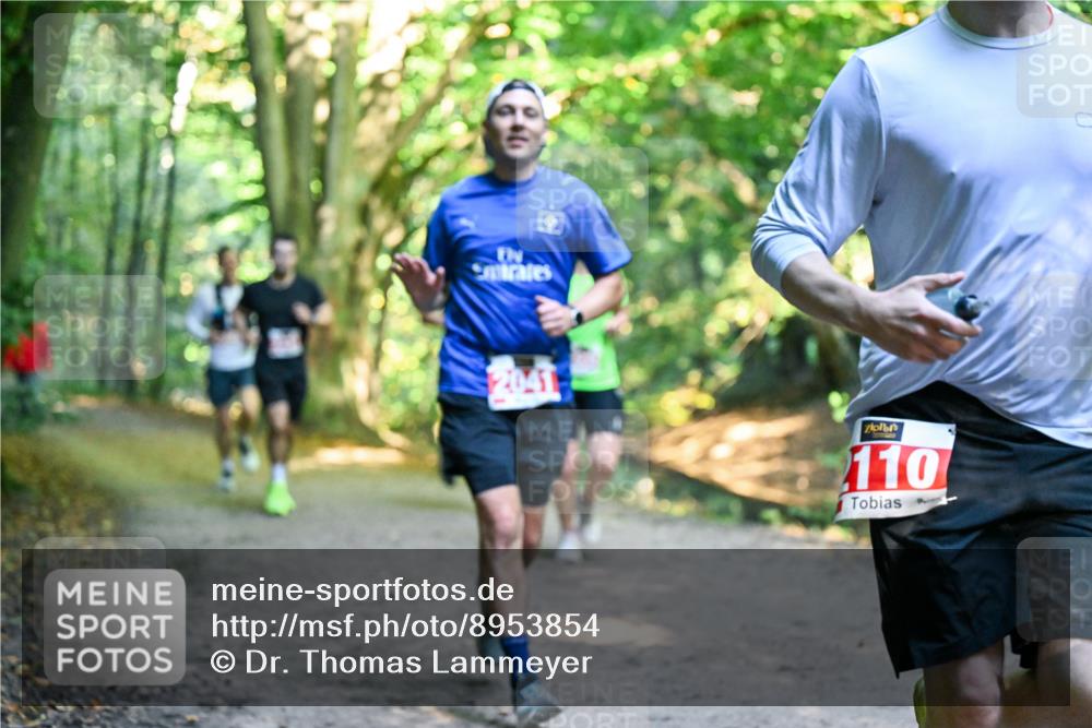 28.09.2025 - 33. Volkslauf durch das schöne Alstertal Dr. Thomas Lammeyer http://msf.ph/oto/8953854 28.09.2025 10:37:05 Laufen 2041, 110 meine-sportfotos.de