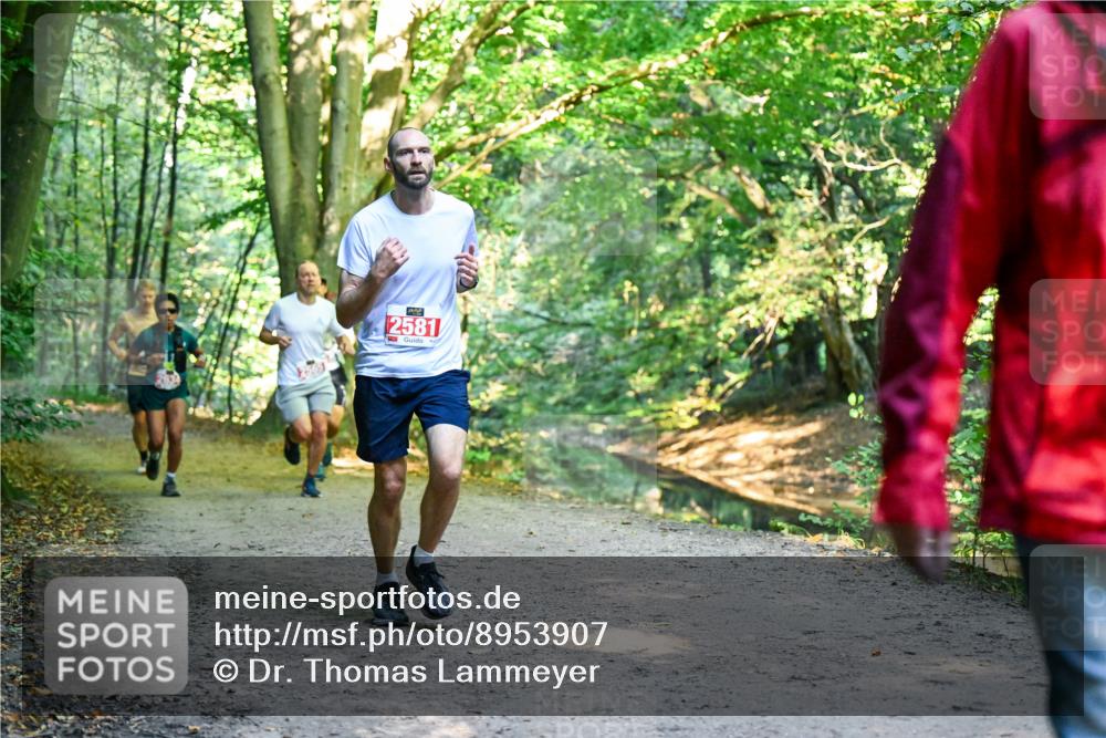 28.09.2025 - 33. Volkslauf durch das schöne Alstertal Dr. Thomas Lammeyer http://msf.ph/oto/8953907 28.09.2025 10:37:23 Laufen 2581 meine-sportfotos.de