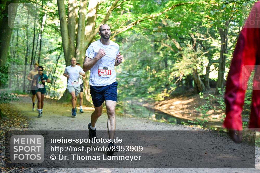 28.09.2025 - 33. Volkslauf durch das schöne Alstertal Dr. Thomas Lammeyer http://msf.ph/oto/8953909 28.09.2025 10:37:23 Laufen 2581 meine-sportfotos.de