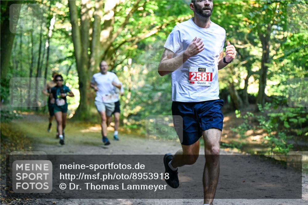 28.09.2025 - 33. Volkslauf durch das schöne Alstertal Dr. Thomas Lammeyer http://msf.ph/oto/8953918 28.09.2025 10:37:24 Laufen 2581 meine-sportfotos.de