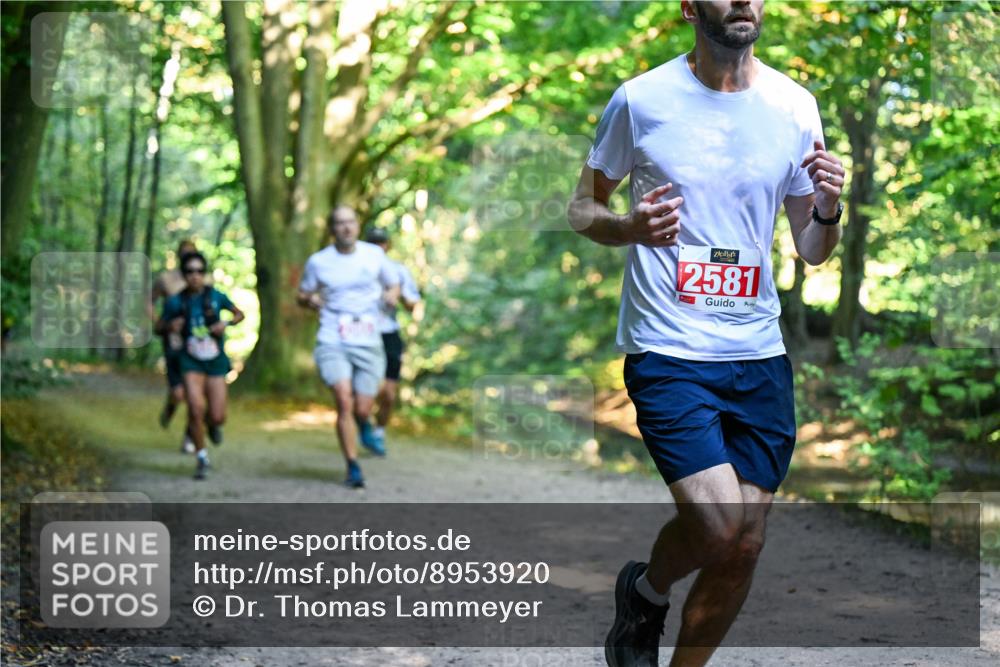 28.09.2025 - 33. Volkslauf durch das schöne Alstertal Dr. Thomas Lammeyer http://msf.ph/oto/8953920 28.09.2025 10:37:24 Laufen 2581 meine-sportfotos.de