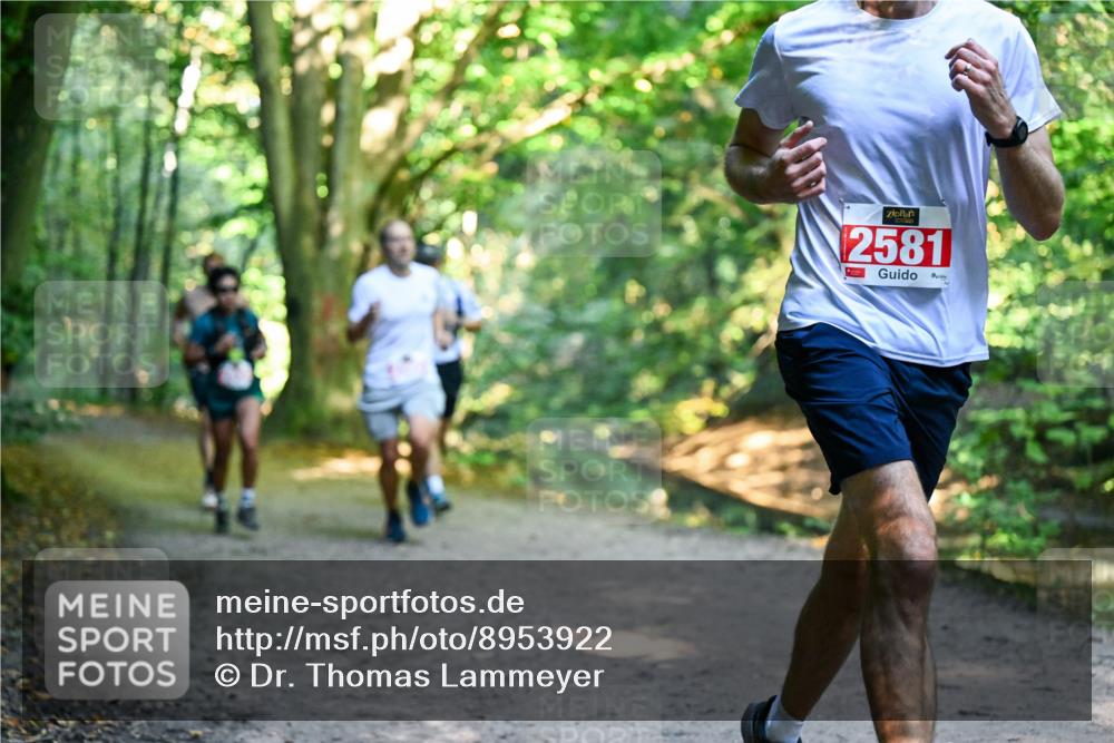 28.09.2025 - 33. Volkslauf durch das schöne Alstertal Dr. Thomas Lammeyer http://msf.ph/oto/8953922 28.09.2025 10:37:24 Laufen 2581 meine-sportfotos.de