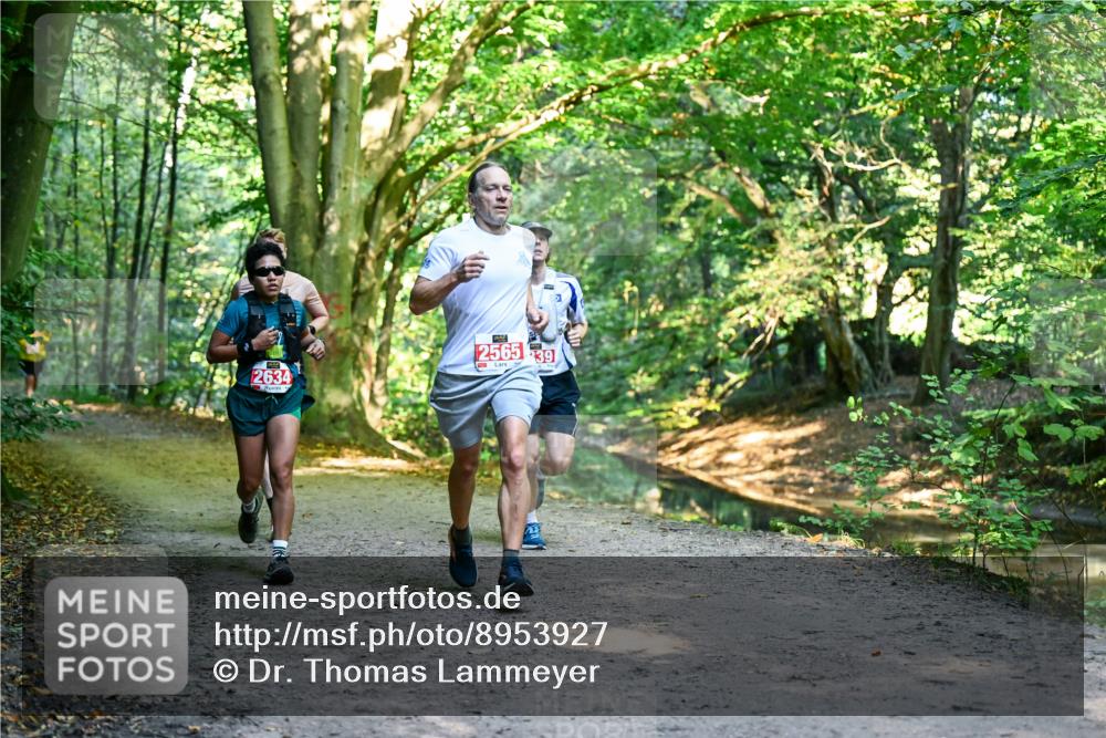 28.09.2025 - 33. Volkslauf durch das schöne Alstertal Dr. Thomas Lammeyer http://msf.ph/oto/8953927 28.09.2025 10:37:25 Laufen 256539, 2634 meine-sportfotos.de