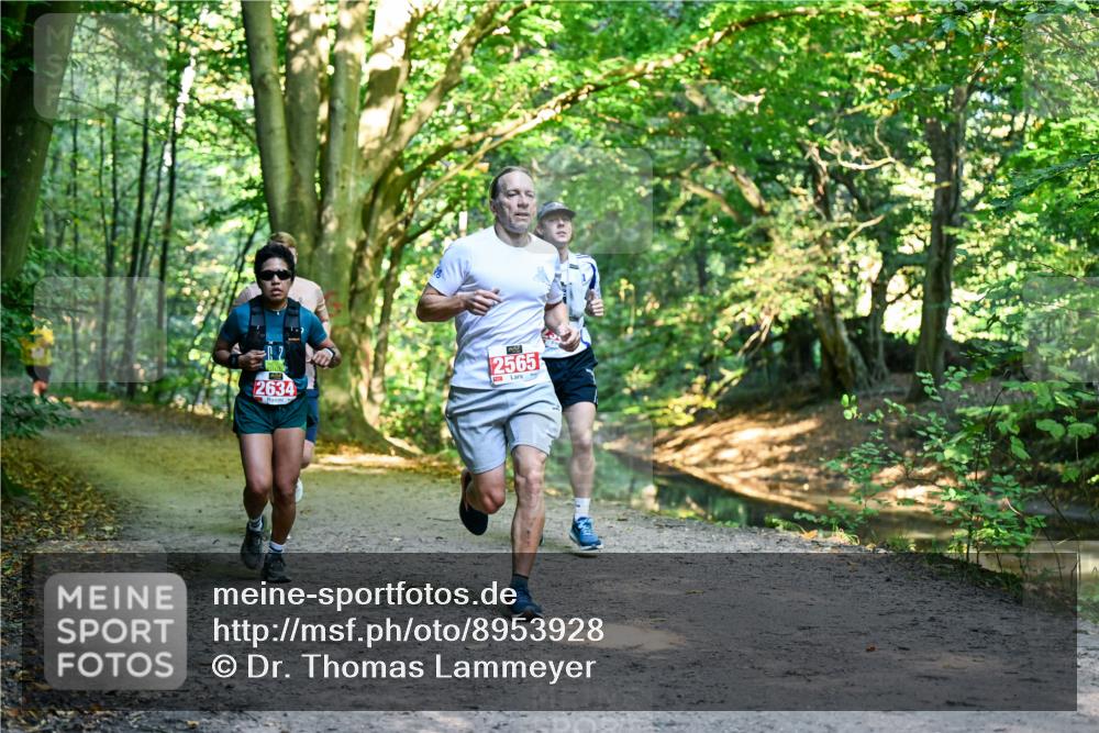 28.09.2025 - 33. Volkslauf durch das schöne Alstertal Dr. Thomas Lammeyer http://msf.ph/oto/8953928 28.09.2025 10:37:25 Laufen 2634, 2565 meine-sportfotos.de