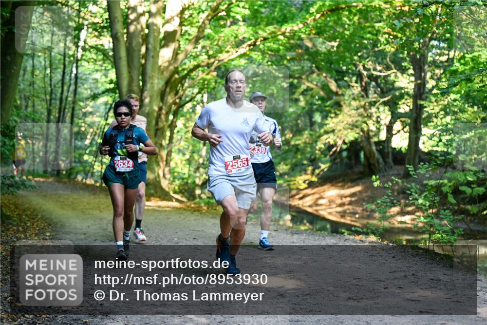 28.09.2025 - 33. Volkslauf durch das schöne Alstertal Dr. Thomas Lammeyer http://msf.ph/oto/8953930 28.09.2025 10:37:25 Laufen 2634, 2565, 339 meine-sportfotos.de