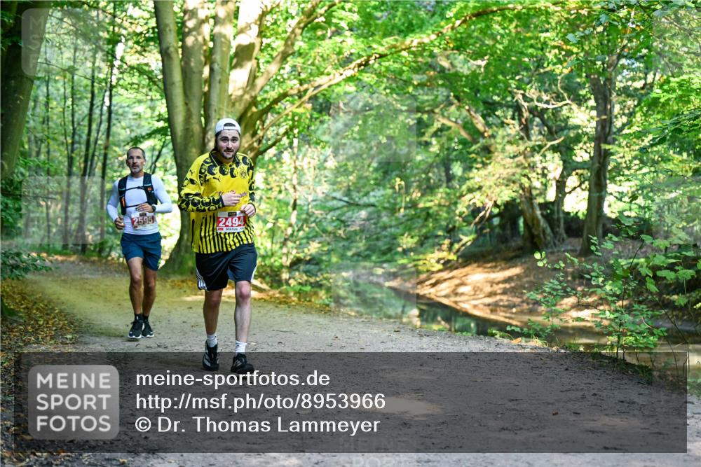 28.09.2025 - 33. Volkslauf durch das schöne Alstertal Dr. Thomas Lammeyer http://msf.ph/oto/8953966 28.09.2025 10:37:32 Laufen 2595, 2494 meine-sportfotos.de