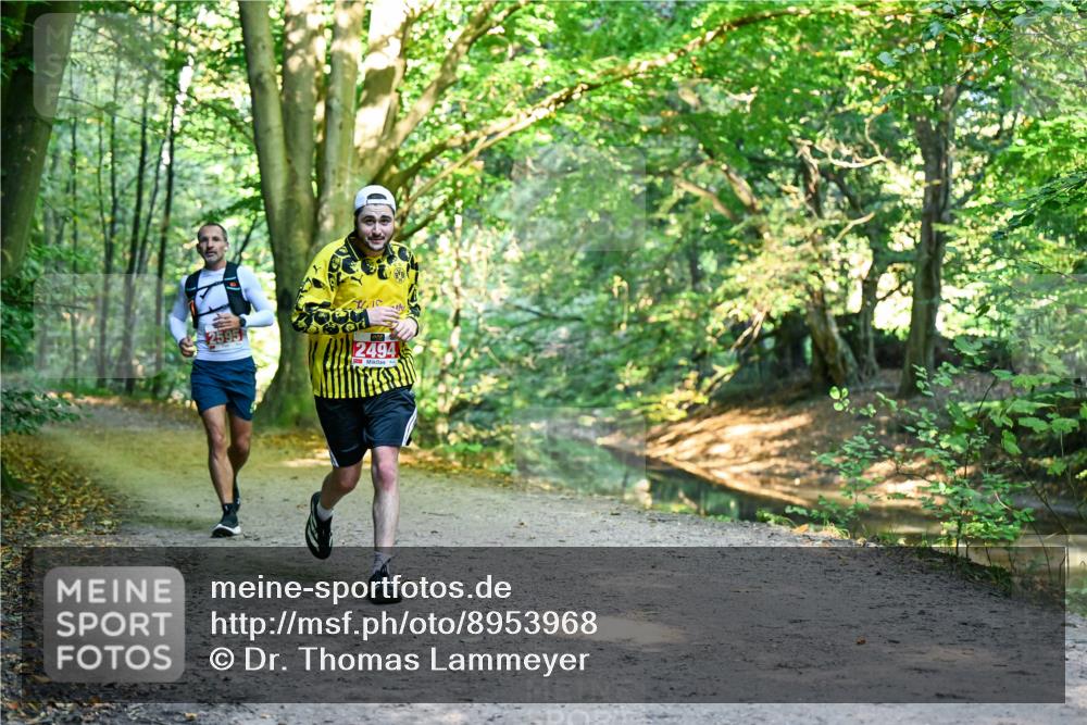 28.09.2025 - 33. Volkslauf durch das schöne Alstertal Dr. Thomas Lammeyer http://msf.ph/oto/8953968 28.09.2025 10:37:32 Laufen 595, 2494 meine-sportfotos.de