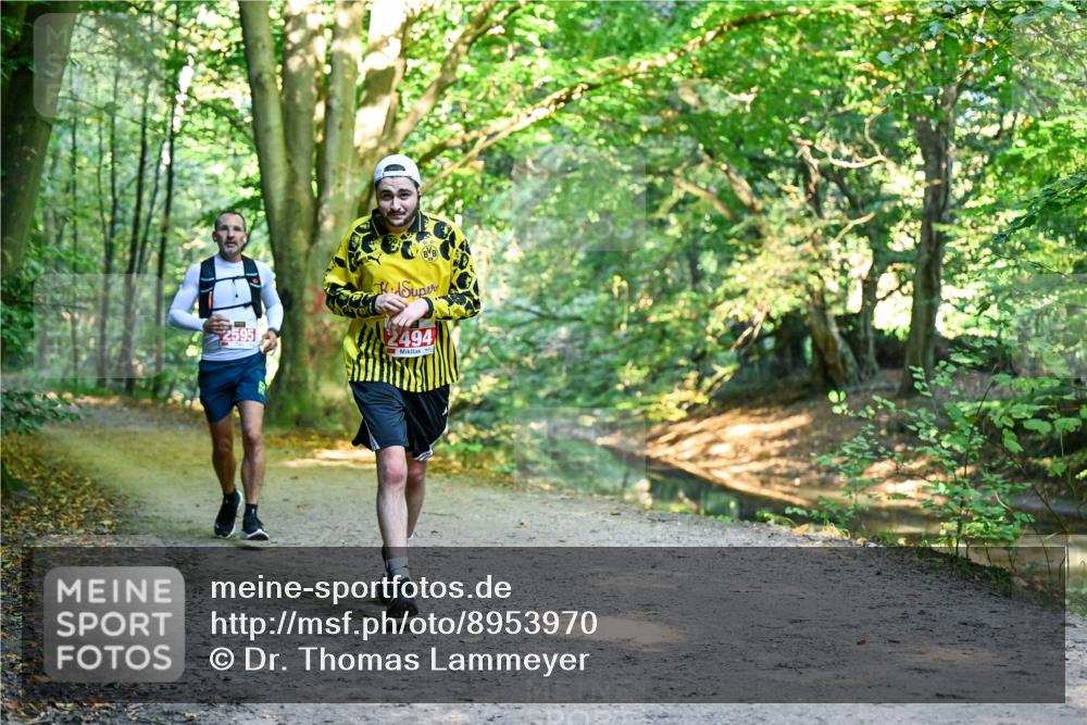 28.09.2025 - 33. Volkslauf durch das schöne Alstertal Dr. Thomas Lammeyer http://msf.ph/oto/8953970 28.09.2025 10:37:32 Laufen 2595, 2494 meine-sportfotos.de
