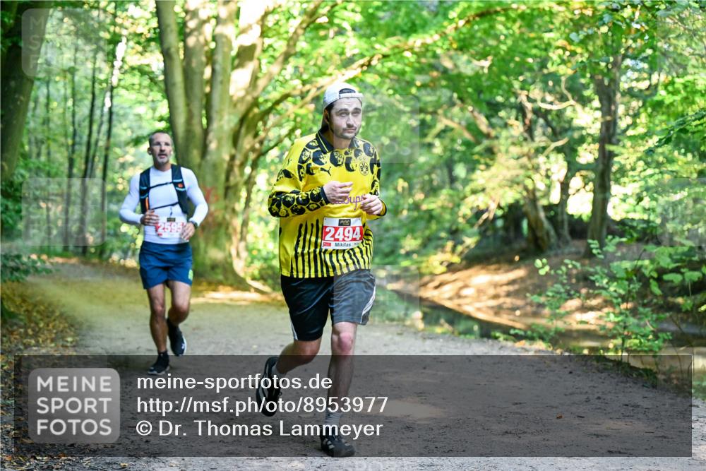 28.09.2025 - 33. Volkslauf durch das schöne Alstertal Dr. Thomas Lammeyer http://msf.ph/oto/8953977 28.09.2025 10:37:33 Laufen 2494 meine-sportfotos.de