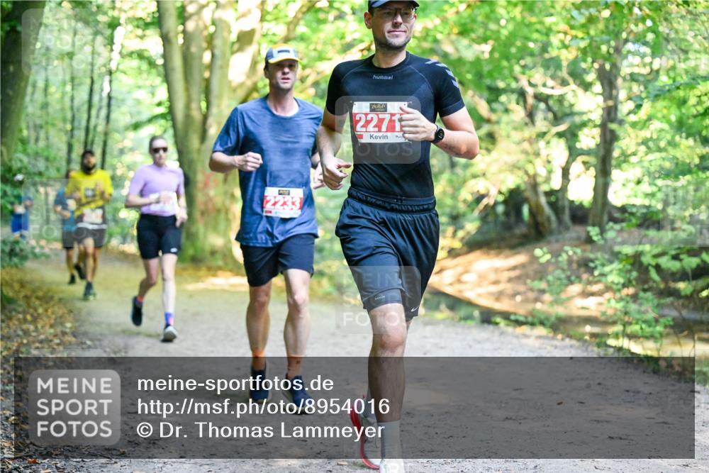 28.09.2025 - 33. Volkslauf durch das schöne Alstertal Dr. Thomas Lammeyer http://msf.ph/oto/8954016 28.09.2025 10:37:43 Laufen 2271 meine-sportfotos.de