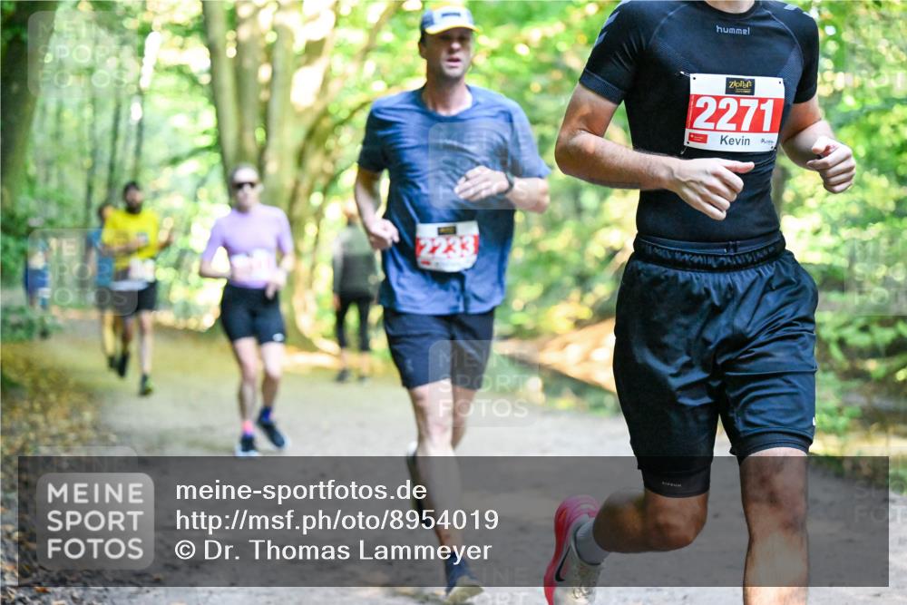 28.09.2025 - 33. Volkslauf durch das schöne Alstertal Dr. Thomas Lammeyer http://msf.ph/oto/8954019 28.09.2025 10:37:44 Laufen 2233, 2271 meine-sportfotos.de