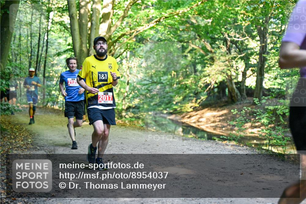 28.09.2025 - 33. Volkslauf durch das schöne Alstertal Dr. Thomas Lammeyer http://msf.ph/oto/8954037 28.09.2025 10:37:46 Laufen 212, 1, 1, 2017 meine-sportfotos.de