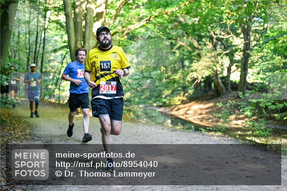 28.09.2025 - 33. Volkslauf durch das schöne Alstertal Dr. Thomas Lammeyer http://msf.ph/oto/8954040 28.09.2025 10:37:46 Laufen 1, 1, 2017 meine-sportfotos.de
