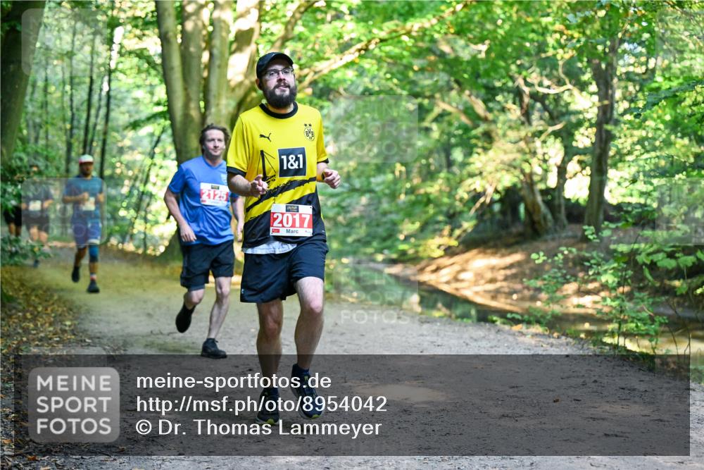 28.09.2025 - 33. Volkslauf durch das schöne Alstertal Dr. Thomas Lammeyer http://msf.ph/oto/8954042 28.09.2025 10:37:46 Laufen 2125, 1, 1, 2017, 1 meine-sportfotos.de