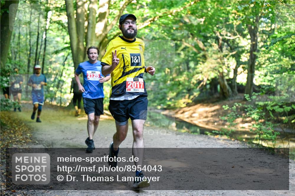 28.09.2025 - 33. Volkslauf durch das schöne Alstertal Dr. Thomas Lammeyer http://msf.ph/oto/8954043 28.09.2025 10:37:46 Laufen 2125, 1, 1, 2017, 1 meine-sportfotos.de