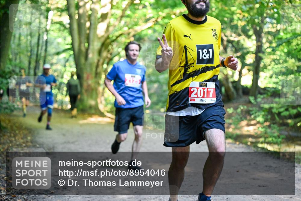 28.09.2025 - 33. Volkslauf durch das schöne Alstertal Dr. Thomas Lammeyer http://msf.ph/oto/8954046 28.09.2025 10:37:47 Laufen 1, 1, 2017, 1 meine-sportfotos.de
