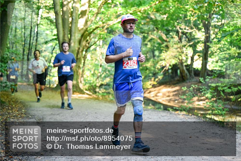 28.09.2025 - 33. Volkslauf durch das schöne Alstertal Dr. Thomas Lammeyer http://msf.ph/oto/8954075 28.09.2025 10:37:50 Laufen 2362 meine-sportfotos.de