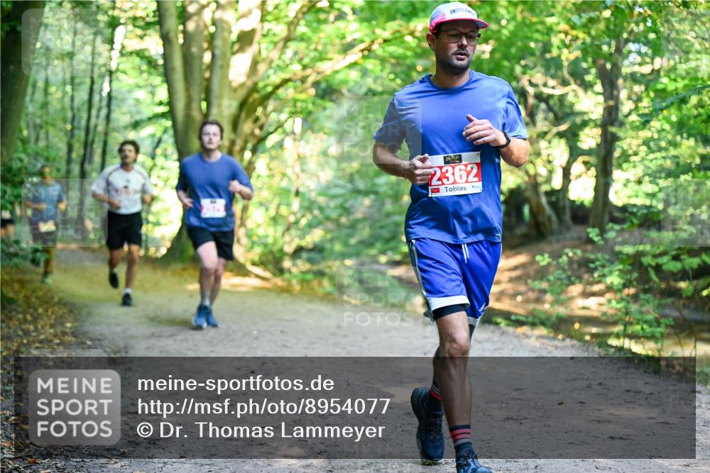 28.09.2025 - 33. Volkslauf durch das schöne Alstertal Dr. Thomas Lammeyer http://msf.ph/oto/8954077 28.09.2025 10:37:50 Laufen 2362 meine-sportfotos.de