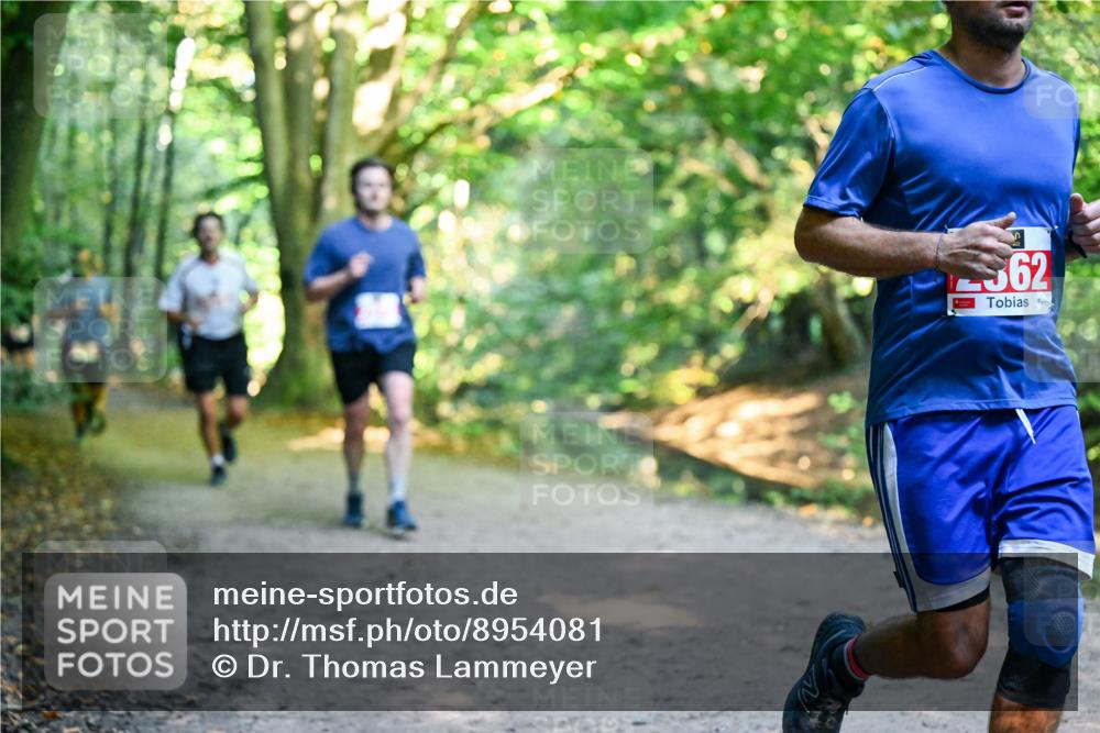 28.09.2025 - 33. Volkslauf durch das schöne Alstertal Dr. Thomas Lammeyer http://msf.ph/oto/8954081 28.09.2025 10:37:51 Laufen 62 meine-sportfotos.de