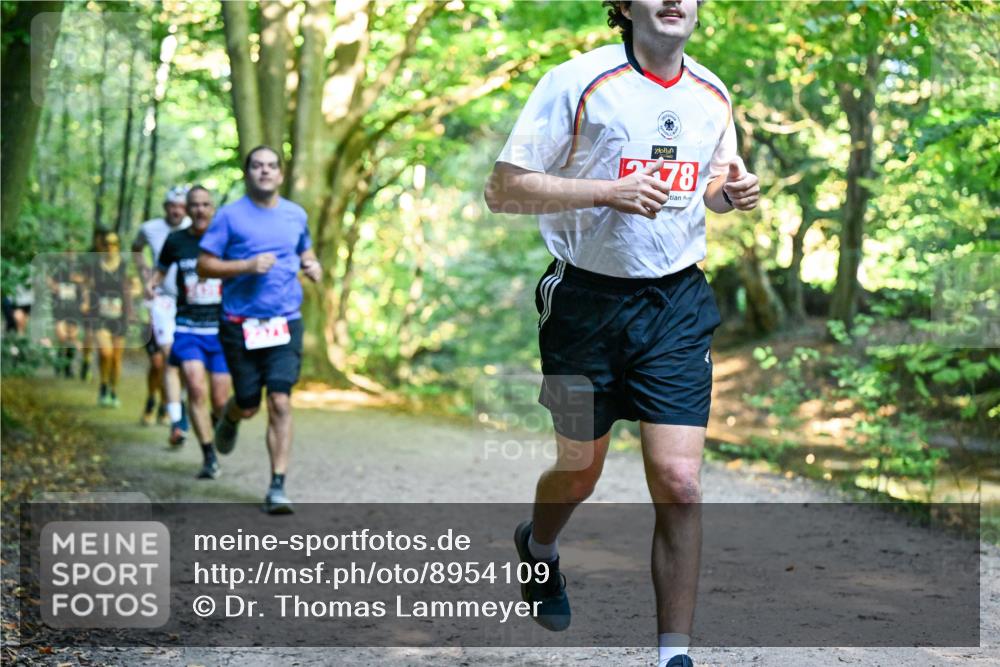 28.09.2025 - 33. Volkslauf durch das schöne Alstertal Dr. Thomas Lammeyer http://msf.ph/oto/8954109 28.09.2025 10:37:54 Laufen 0, 78 meine-sportfotos.de