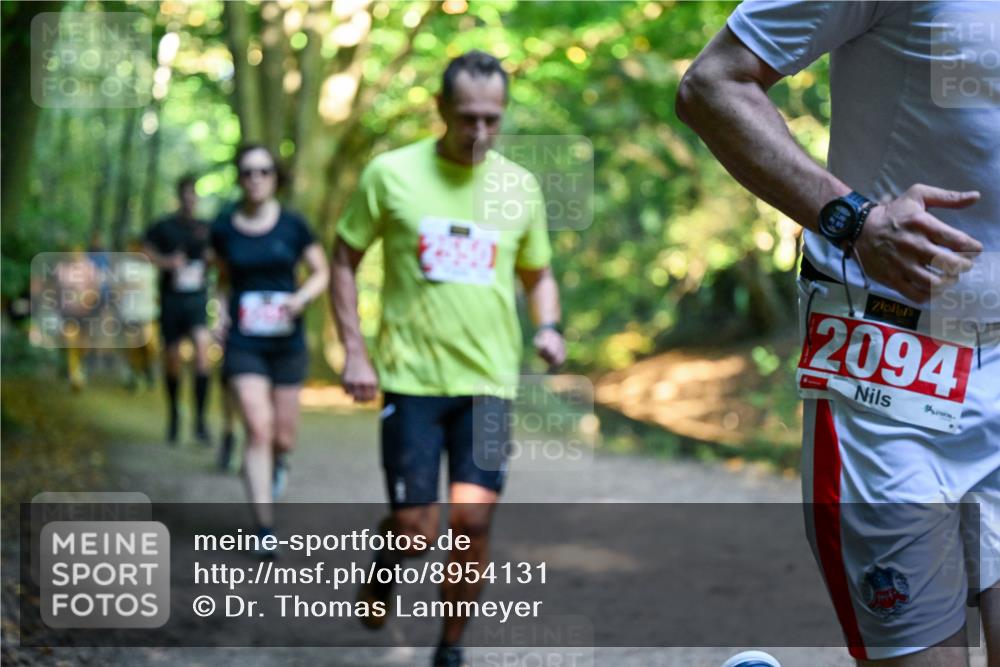 28.09.2025 - 33. Volkslauf durch das schöne Alstertal Dr. Thomas Lammeyer http://msf.ph/oto/8954131 28.09.2025 10:37:58 Laufen 2094 meine-sportfotos.de