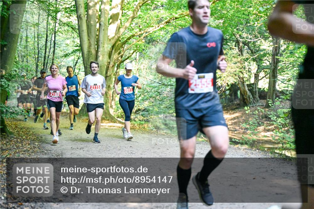 28.09.2025 - 33. Volkslauf durch das schöne Alstertal Dr. Thomas Lammeyer http://msf.ph/oto/8954147 28.09.2025 10:38:01 Laufen 2189, 2425, 2115, 2011, 355 meine-sportfotos.de