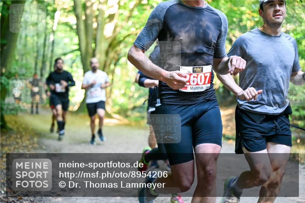 28.09.2025 - 33. Volkslauf durch das schöne Alstertal Dr. Thomas Lammeyer http://msf.ph/oto/8954206 28.09.2025 10:38:07 Laufen 2607 meine-sportfotos.de